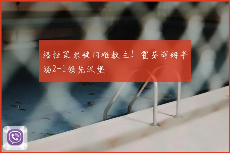 格拉策尔破门难救主！霍芬海姆半场2-1领先汉堡