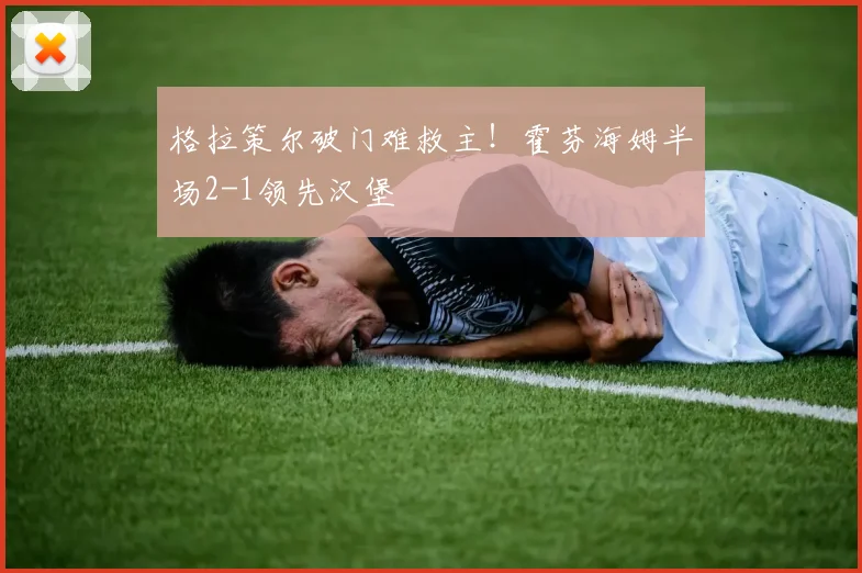 格拉策尔破门难救主!霍芬海姆半场2-1领先汉堡