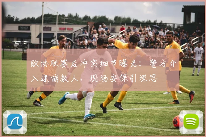 欧协联赛后冲突细节曝光：警方介入逮捕数人，现场安保引深思